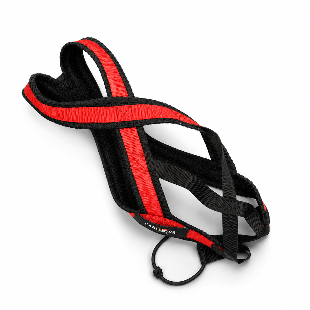 Amanzi X-Back Canicross Harness