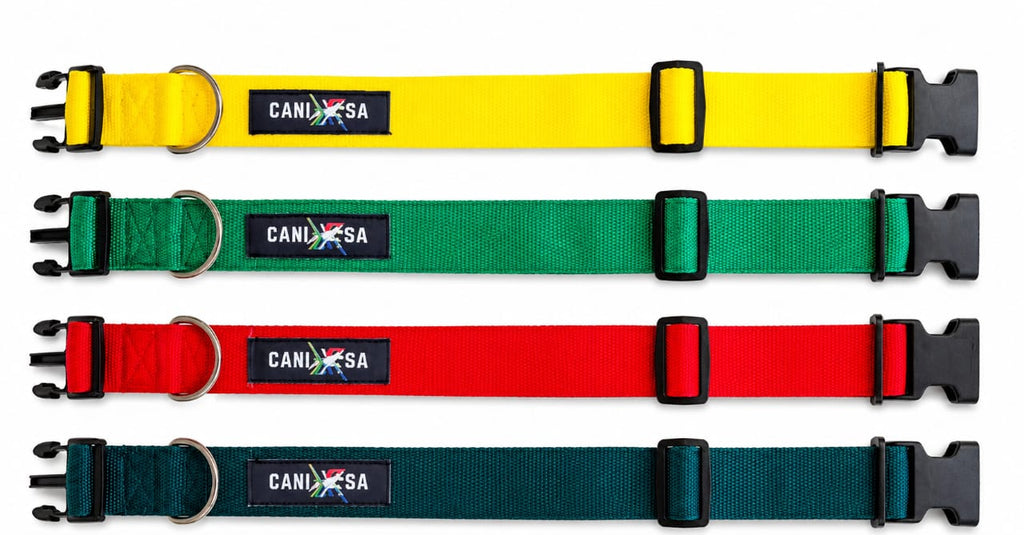 Dog Collar