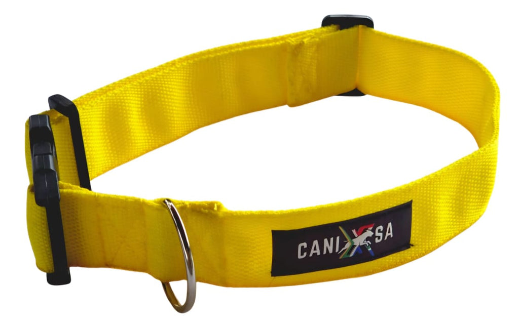 Dog Collar